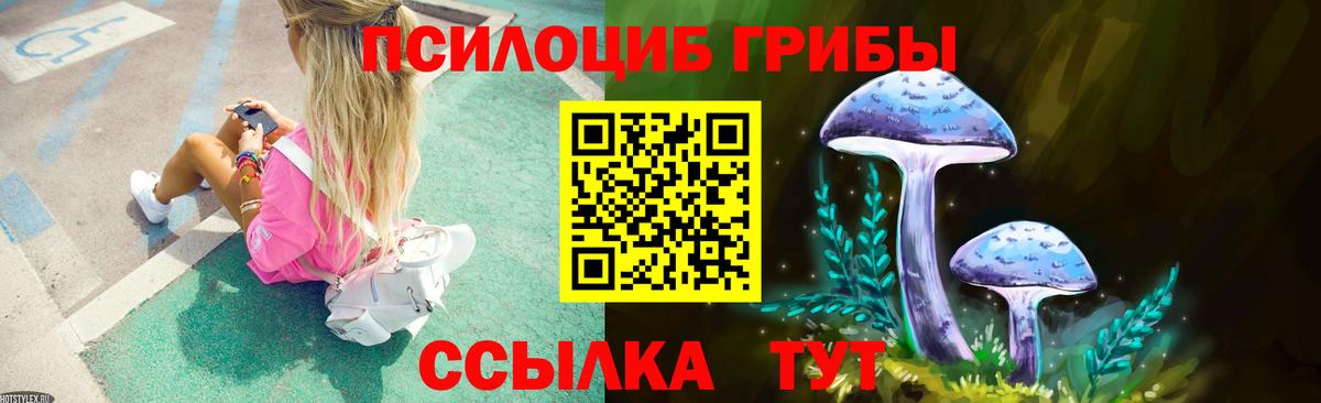 Псилоцибиновые грибы Cubensis Ртищево
